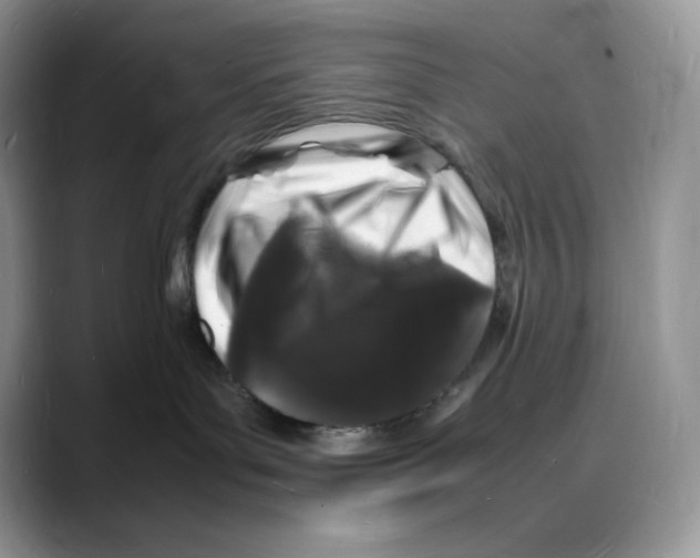 X0000088030143200706081509