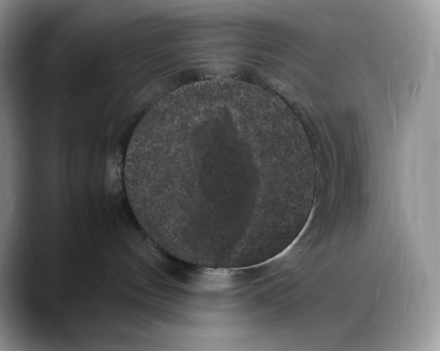 X0000088030144200706081509