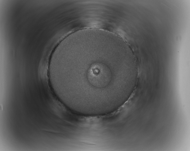 X0000088030146200706081508