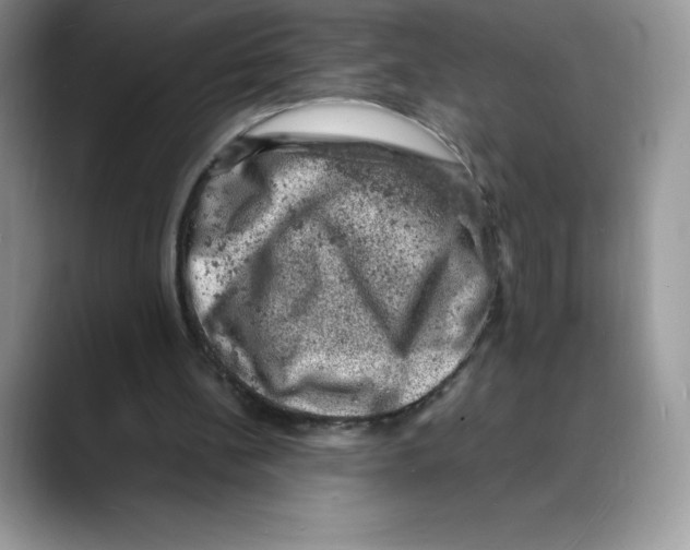 X0000088030148200706081508