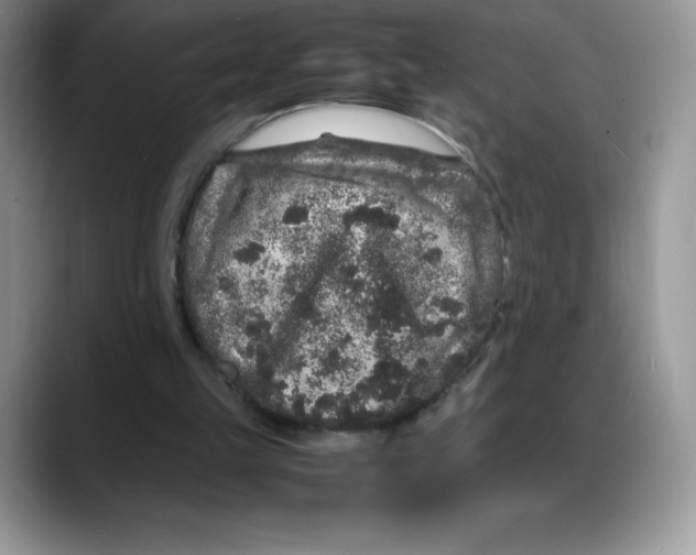 X0000088030149200706081508