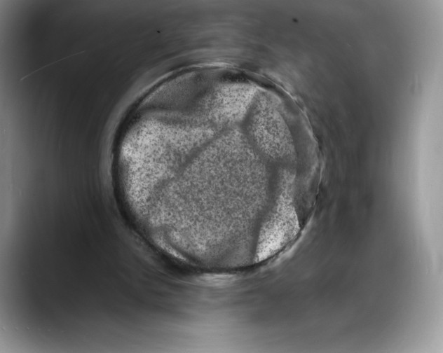 X0000088030150200706081508