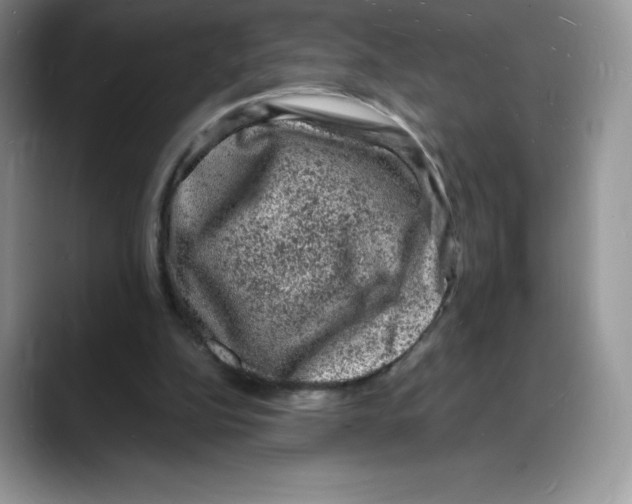 X0000088030152200706081508