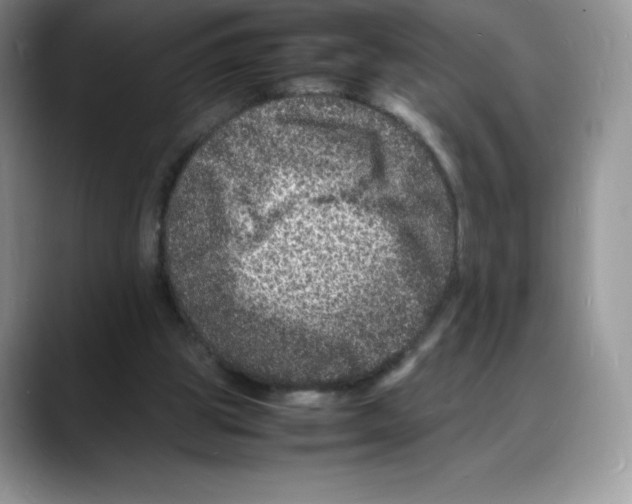 X0000088030153200706081508