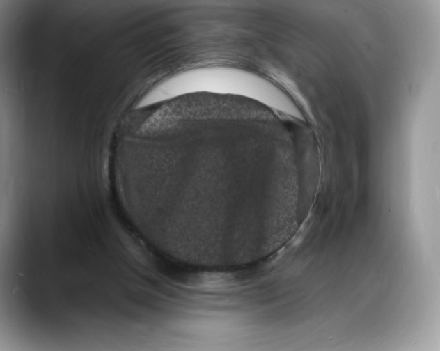 X0000088030154200706081508