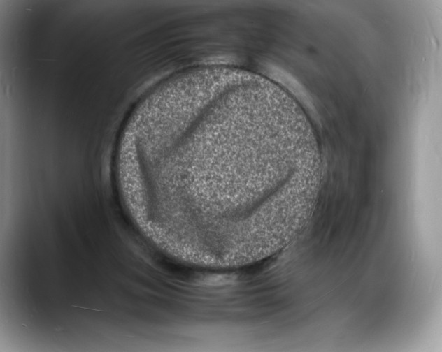 X0000088030155200706081508