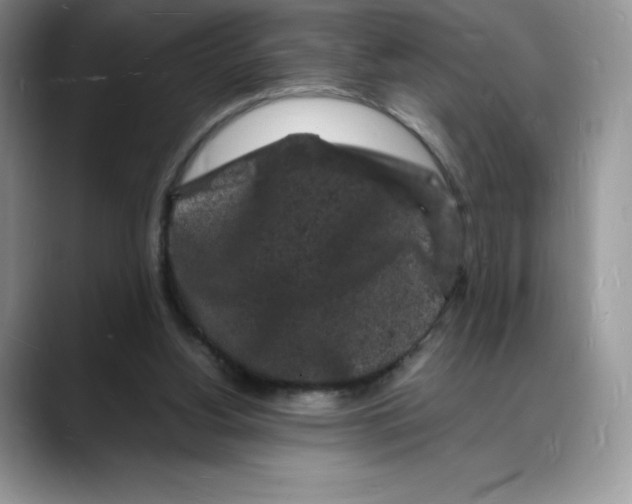X0000088030156200706081508