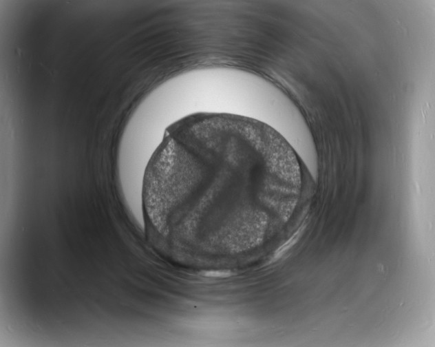 X0000088030158200706081508