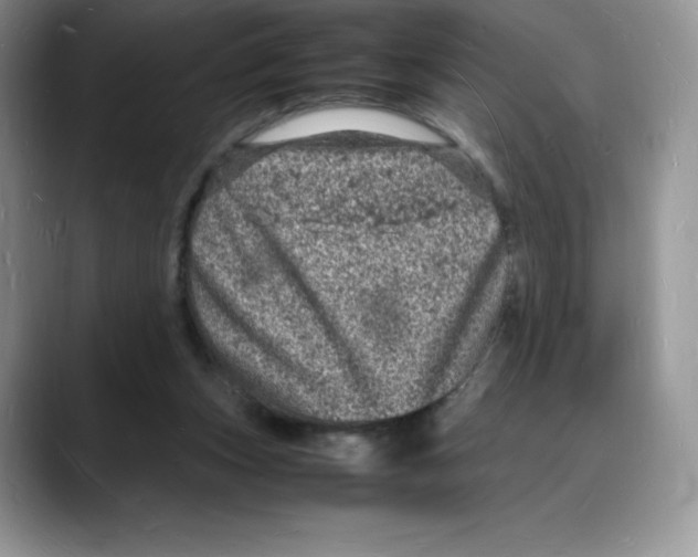 X0000088030159200706081508