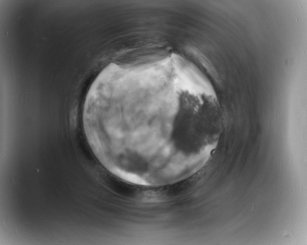 X0000088030163200706081508