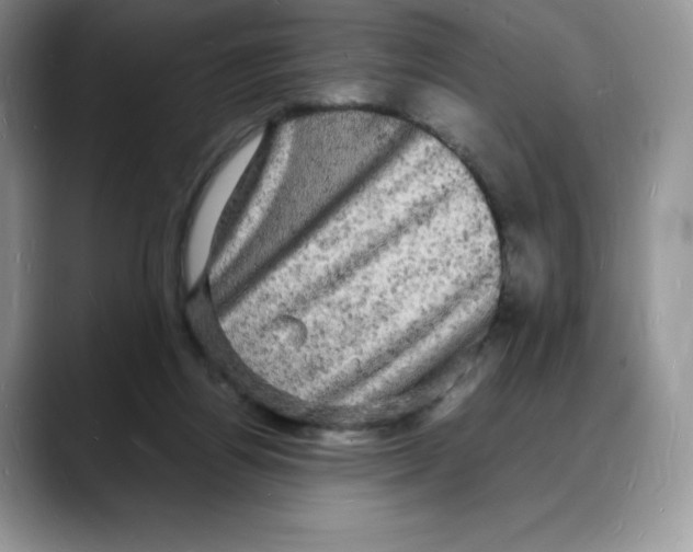 X0000088030164200706081508