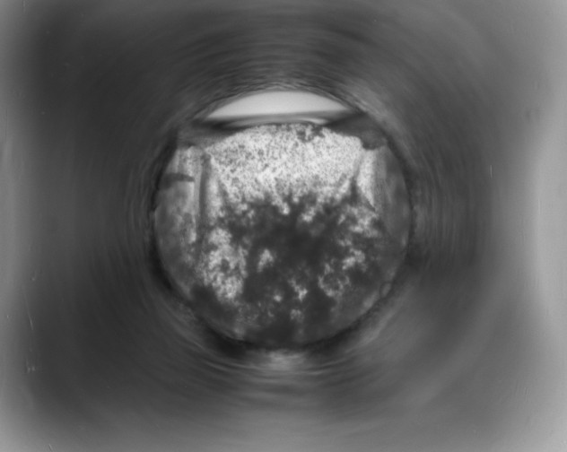 X0000088030165200706081508