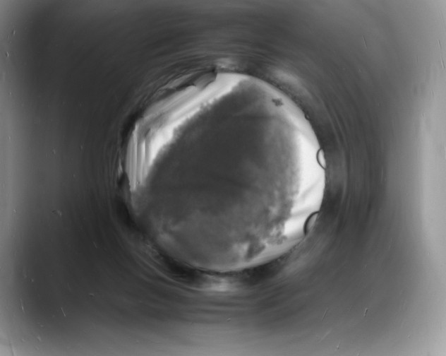 X0000088030167200706081508