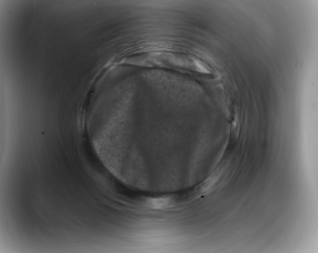 X0000088030168200706081508
