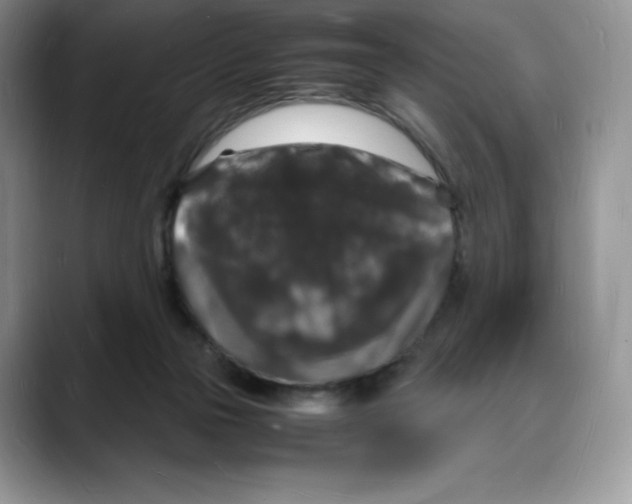 X0000088030169200706081508