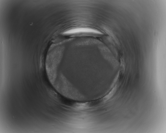 X0000088030170200706081508