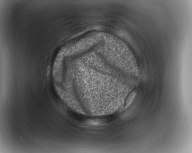 X0000088030171200706081508