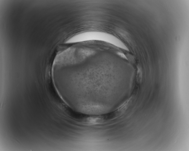 X0000088030172200706081508