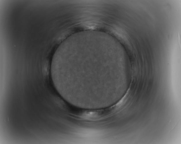 X0000088030174200706081509
