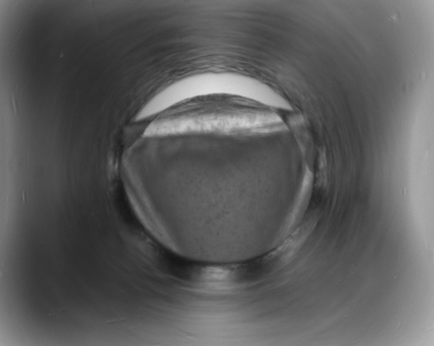 X0000088030176200706081509