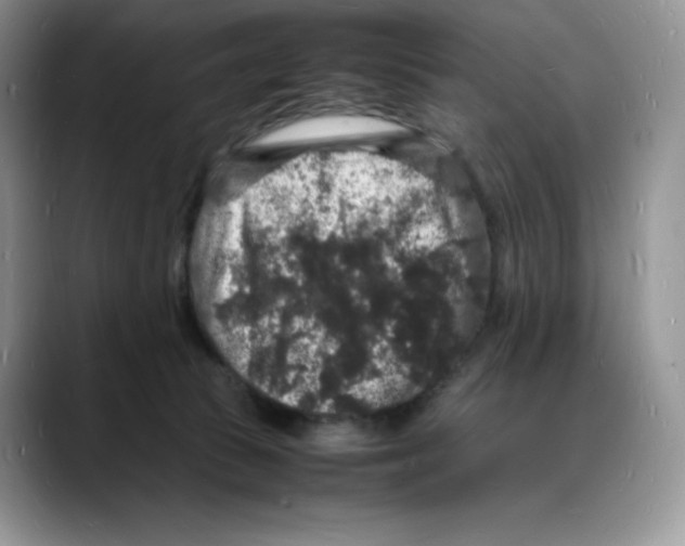 X0000088030177200706081509