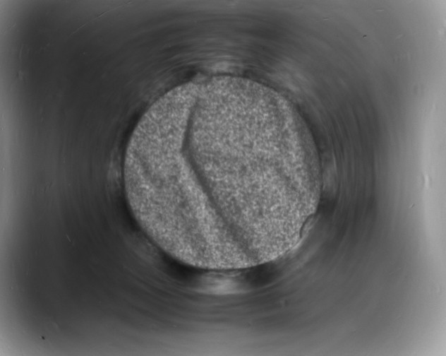 X0000088030179200706081509
