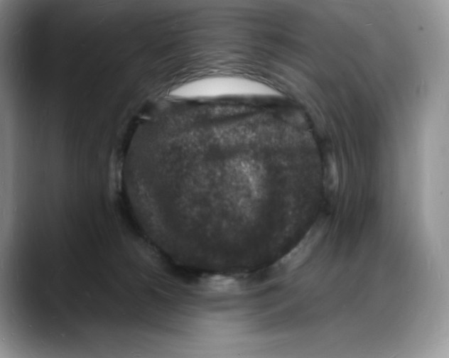 X0000088030180200706081509
