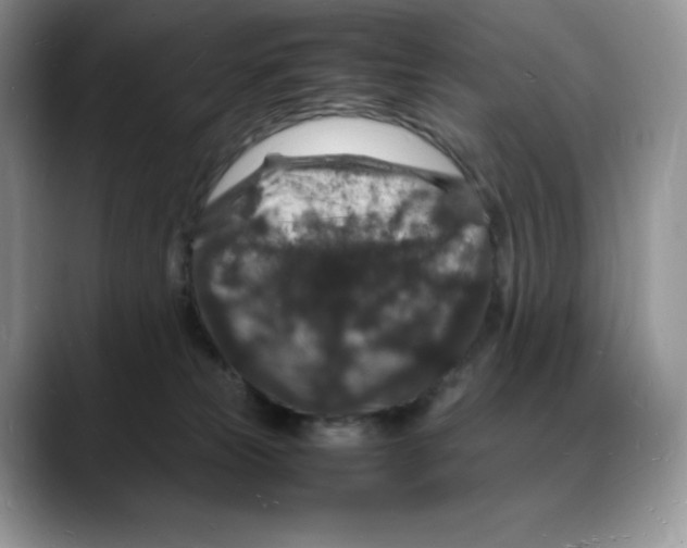 X0000088030181200706081509