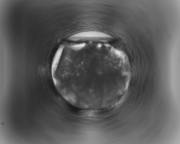 X0000088030182200706081509