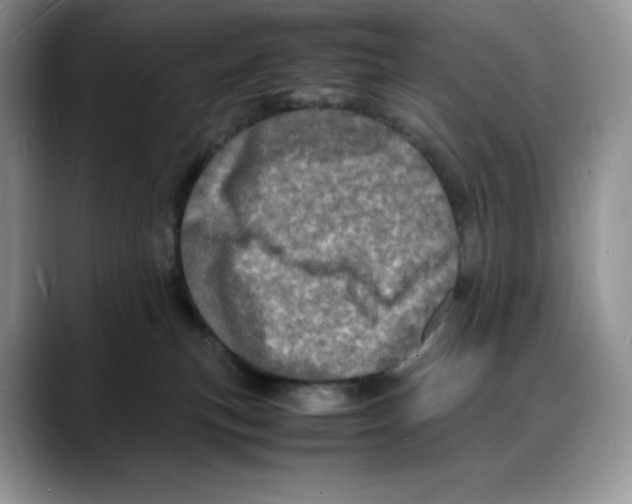 X0000088030183200706081509