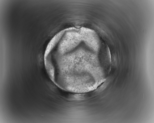 X0000088030184200706081509