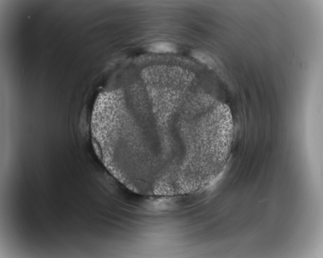 X0000088030186200706081509