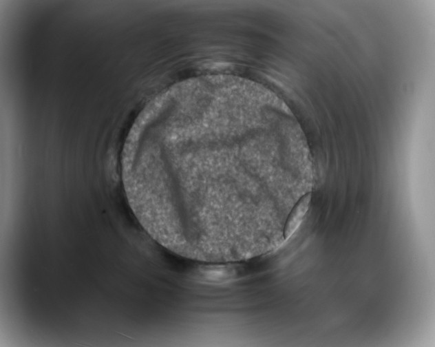 X0000088030187200706081509