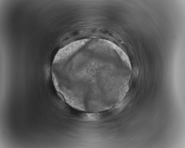 X0000088030188200706081509