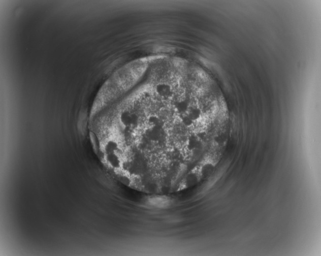 X0000088030189200706081509