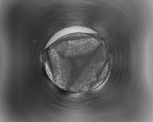 X0000088030190200706081509