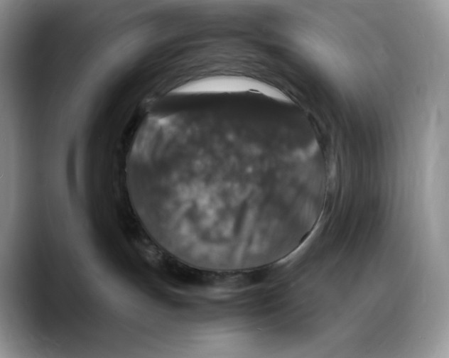 X0000088030191200706081509