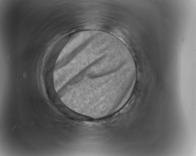 X0000088030193200706081508