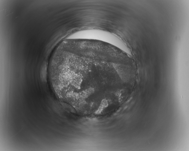 X0000088030194200706081508
