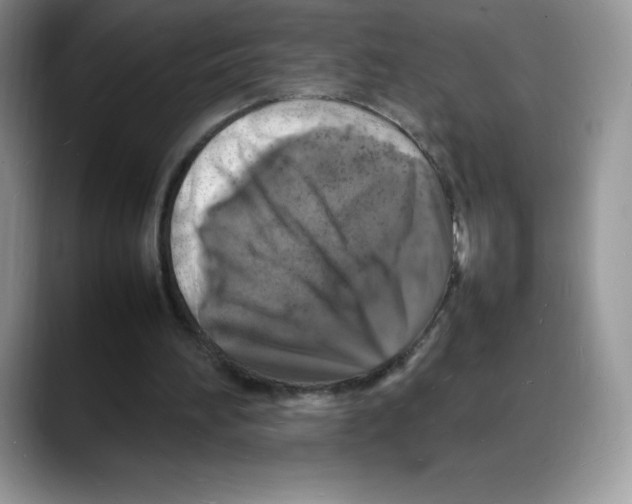 X0000088030196200706081508