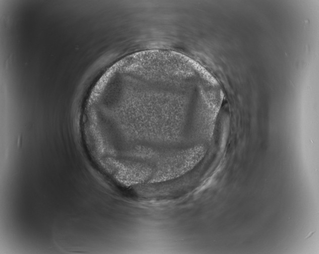 X0000088030197200706081508