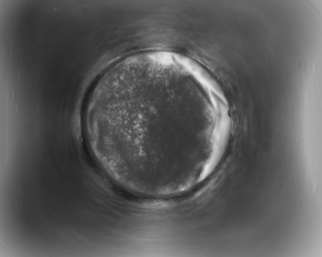 X0000088030198200706081508