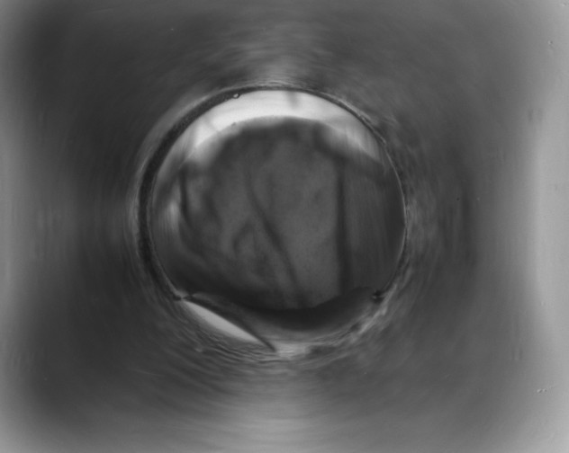 X0000088030200200706081508