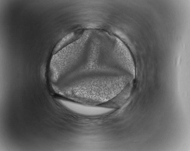 X0000088030201200706081508