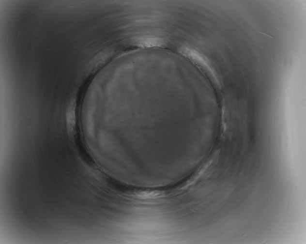 X0000088030202200706081508