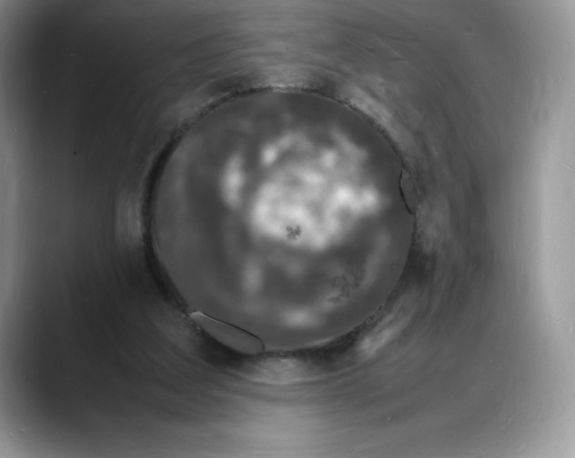 X0000088030203200706081508