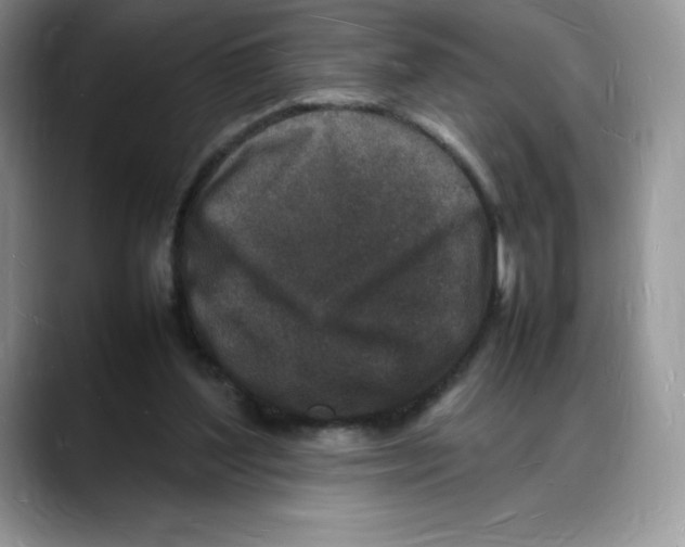 X0000088030204200706081508