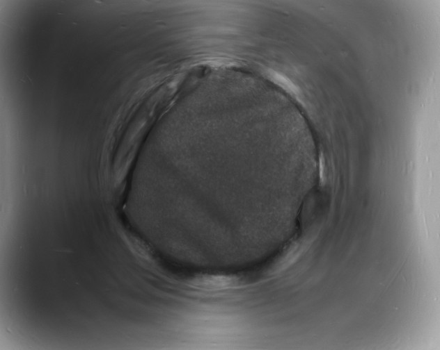 X0000088030205200706081508