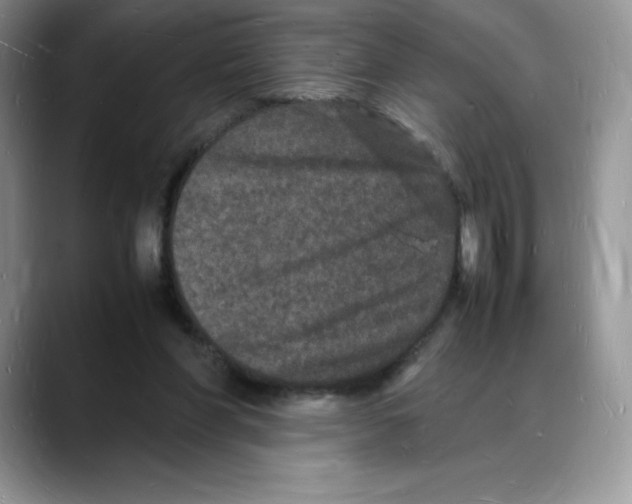 X0000088030206200706081508