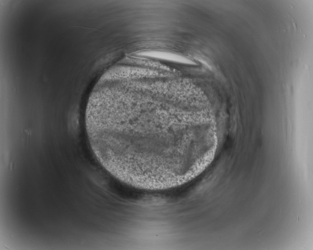 X0000088030207200706081508